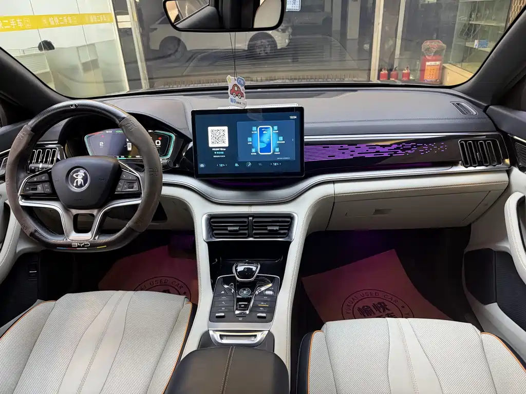BYD PLUS New Energy — фото 10