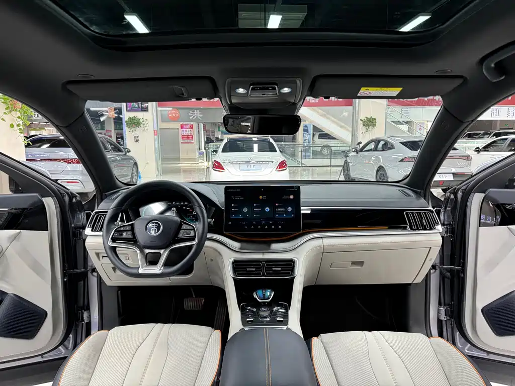 BYD PLUS New Energy — фото 15