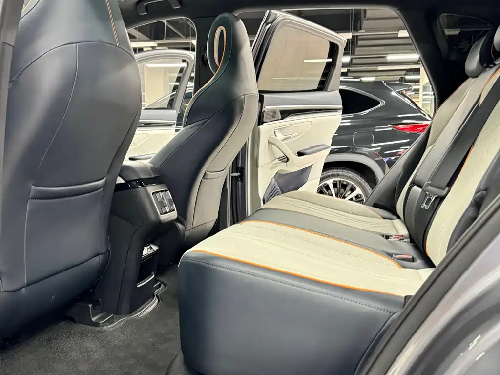 BYD PLUS New Energy — фото 17