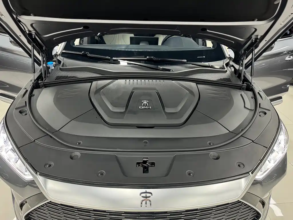 BYD PLUS New Energy — фото 19