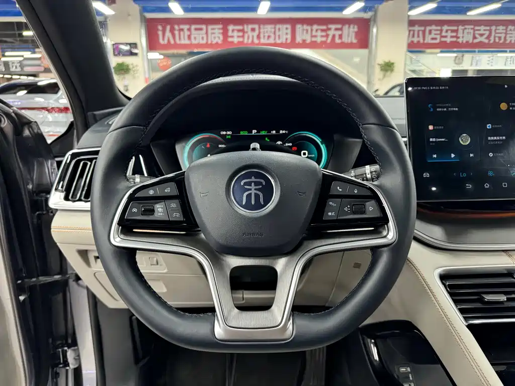 BYD PLUS New Energy — фото 10