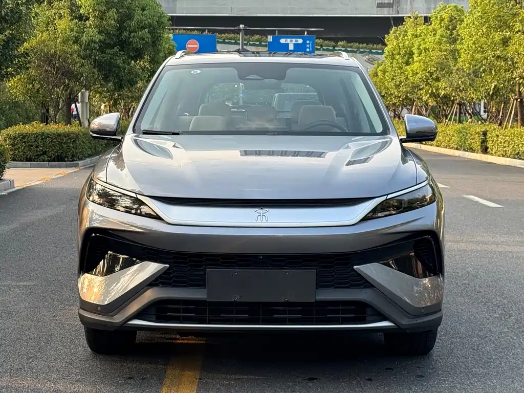 BYD Pro New Energy — фото 2