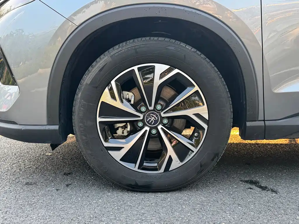 BYD Pro New Energy — фото 22