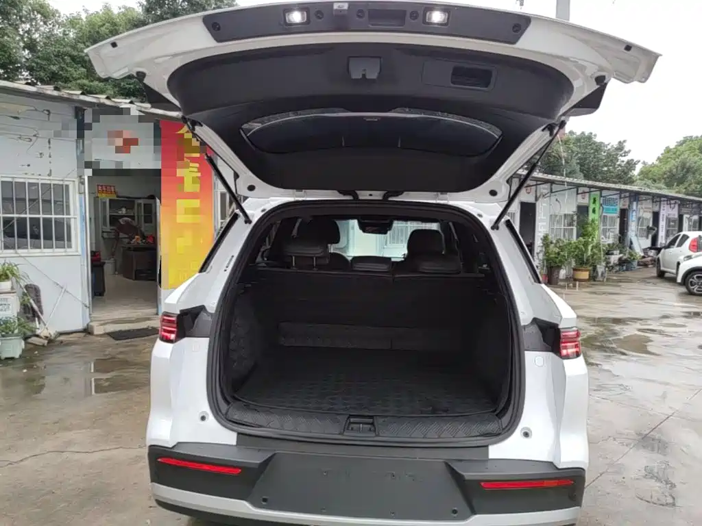 BYD Pro New Energy — фото 19
