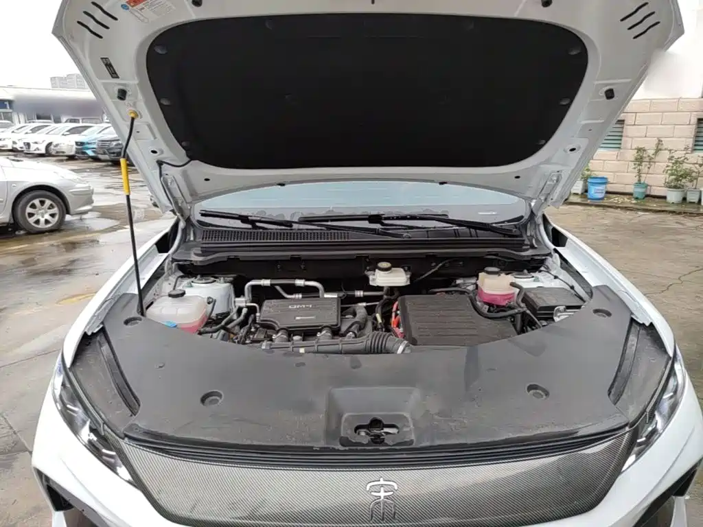 BYD Pro New Energy — фото 20