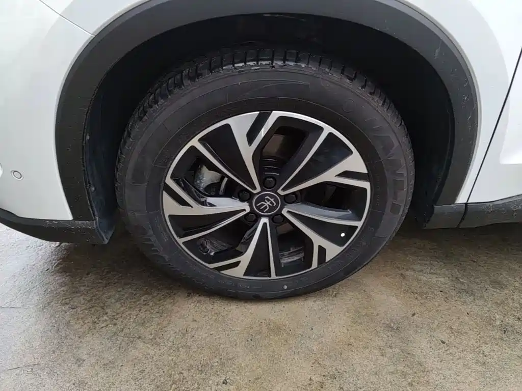 BYD Pro New Energy — фото 23