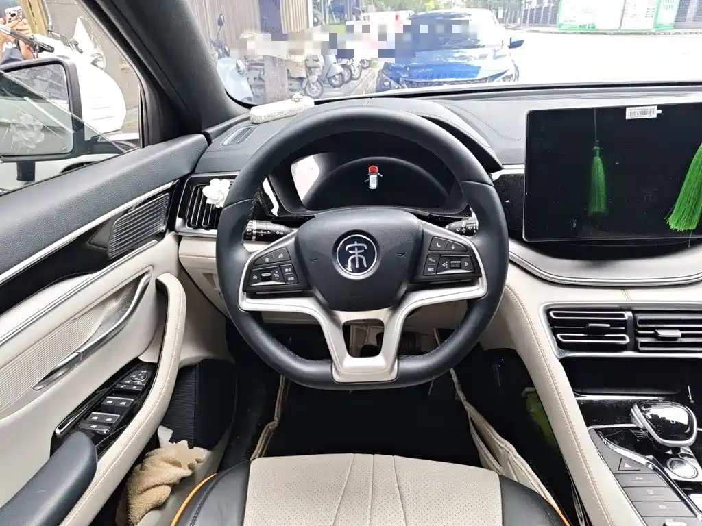 BYD PLUS New Energy — фото 11