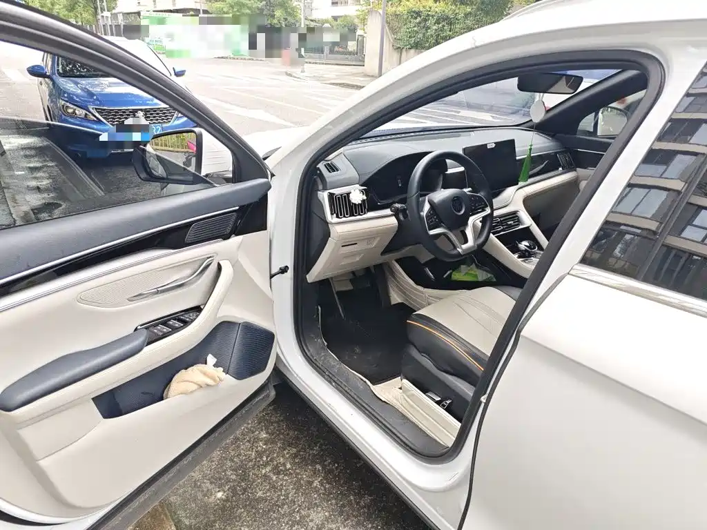 BYD PLUS New Energy — фото 17
