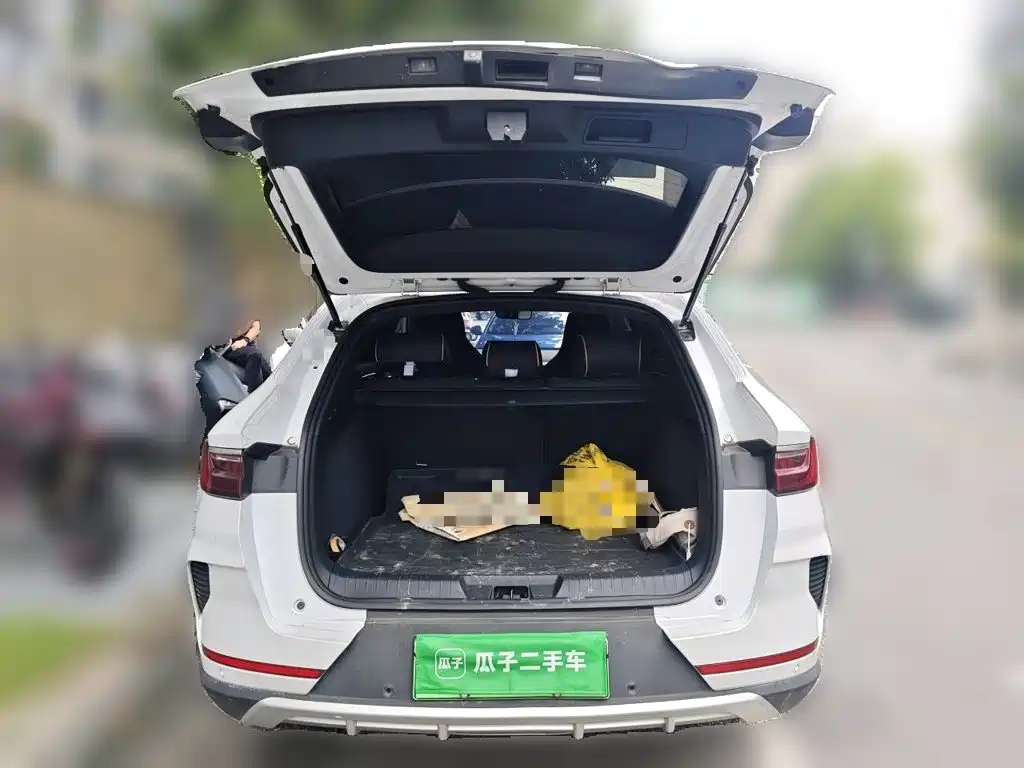 BYD PLUS New Energy — фото 20