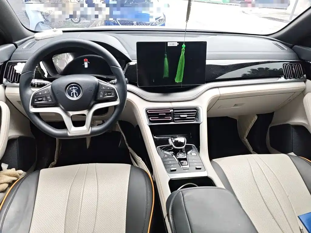BYD PLUS New Energy — фото 10