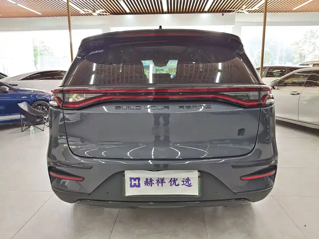 BYD Tang New Energy — фото 17