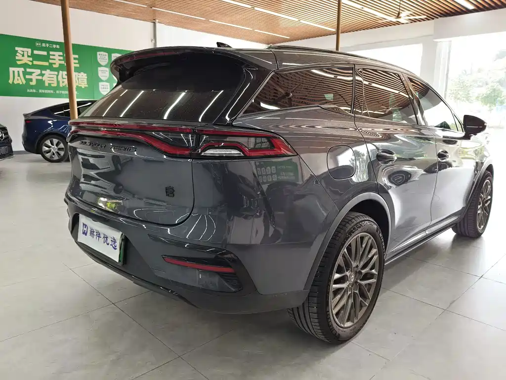 BYD Tang New Energy — фото 18