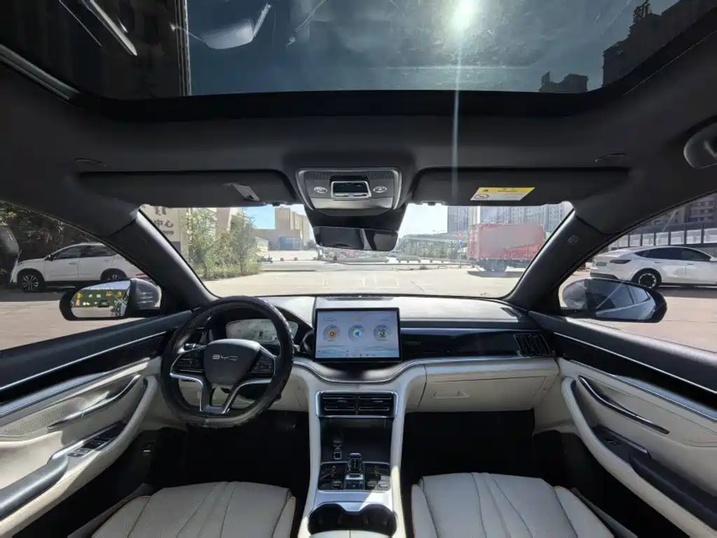 BYD PLUS New Energy — фото 13