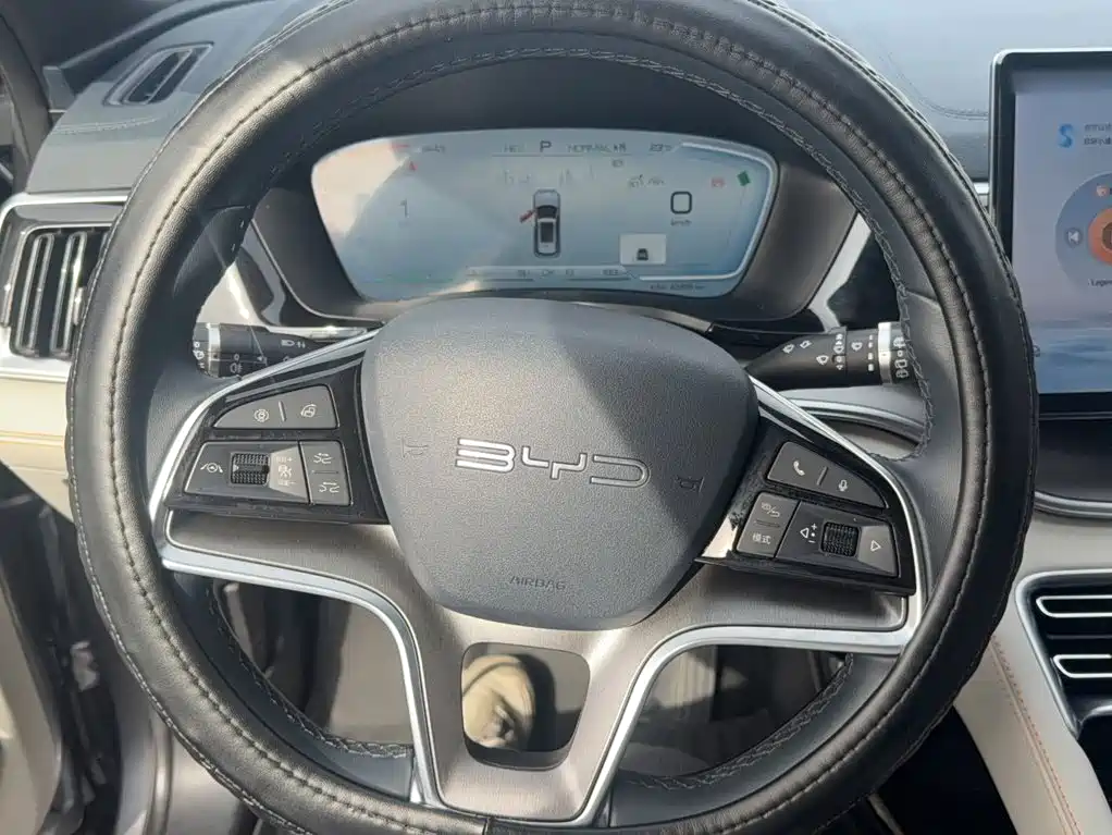 BYD PLUS New Energy — фото 4