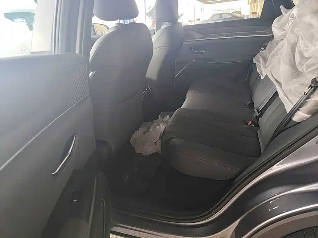 BYD Pro New Energy — фото 17