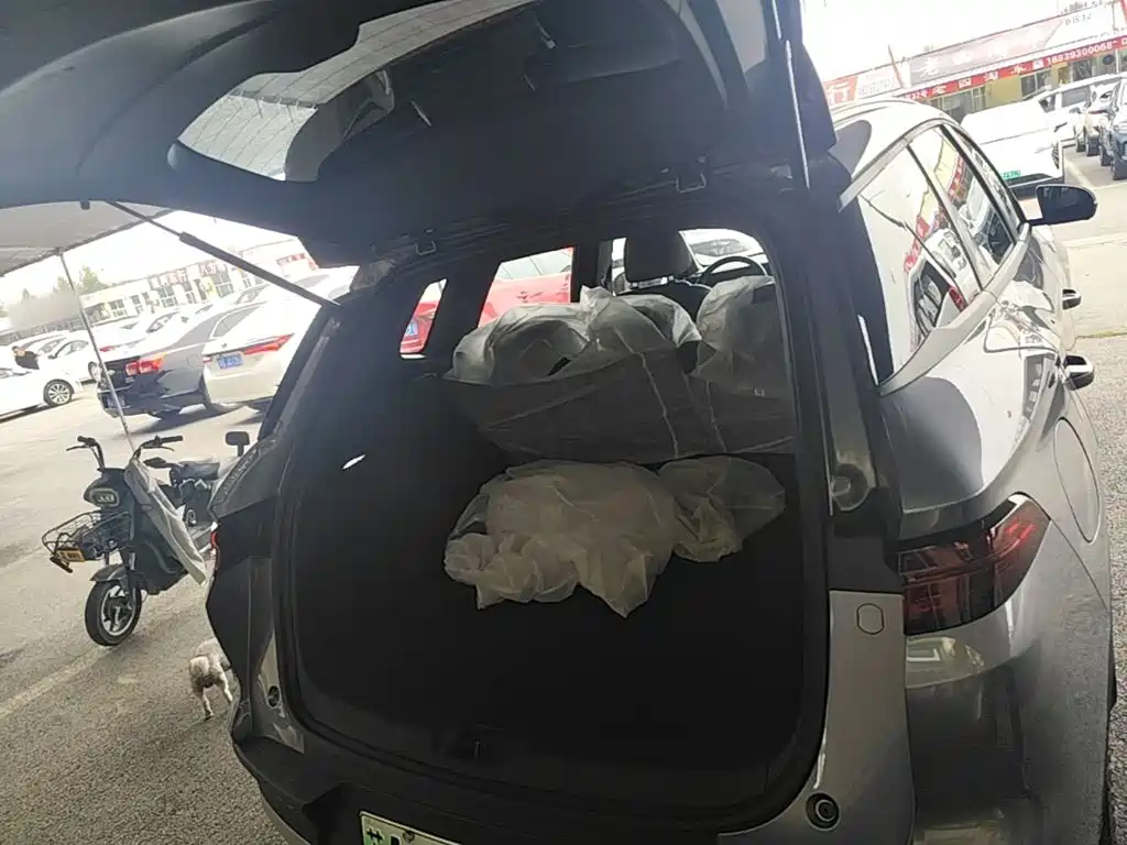 BYD Pro New Energy — фото 19