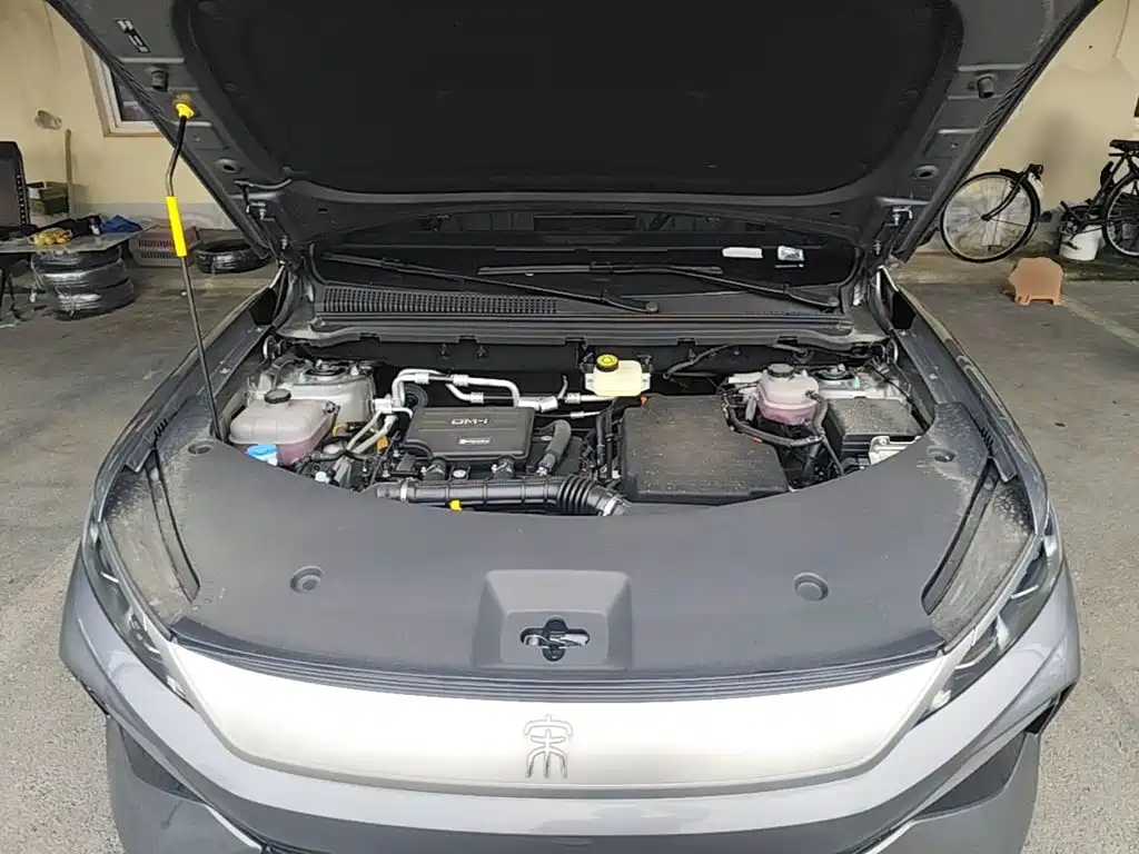 BYD Pro New Energy — фото 20