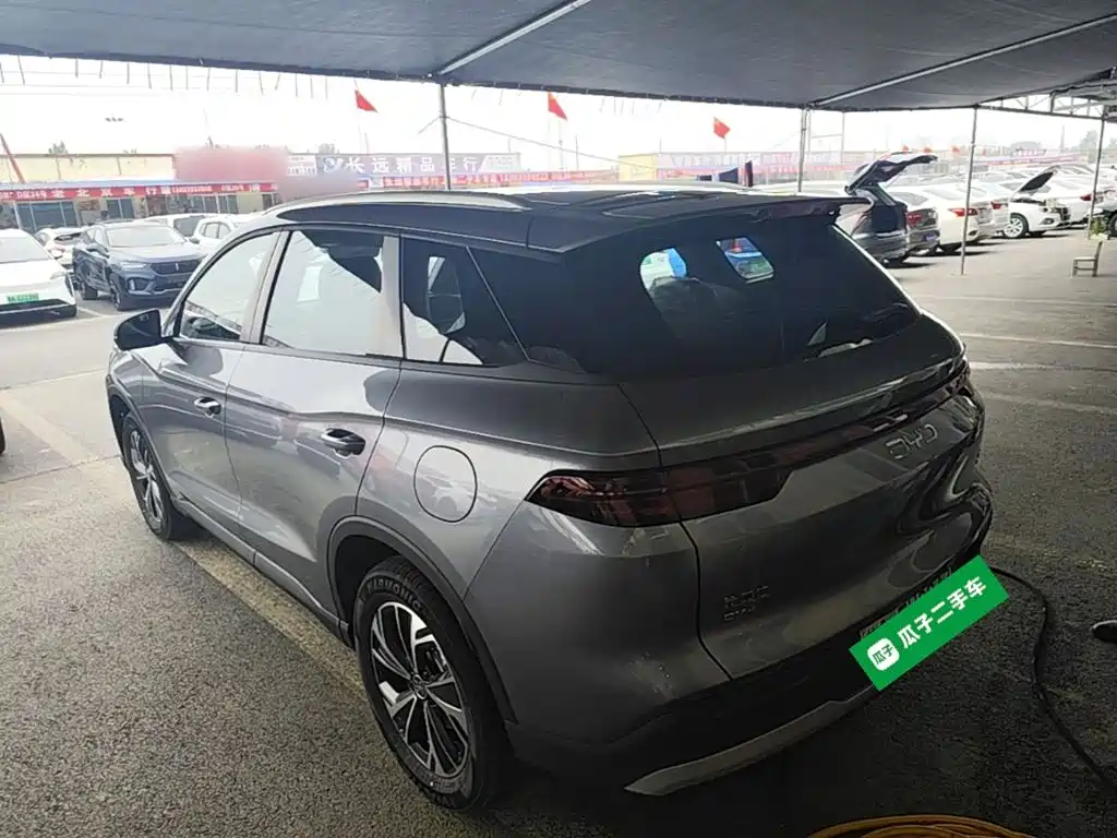 BYD Pro New Energy — фото 5