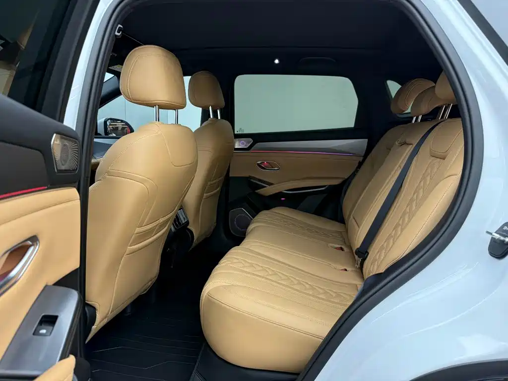 BYD L DM-i — фото 7
