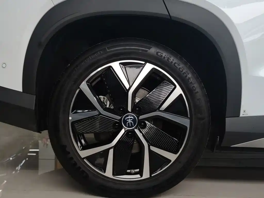 BYD L DM-i — фото 14