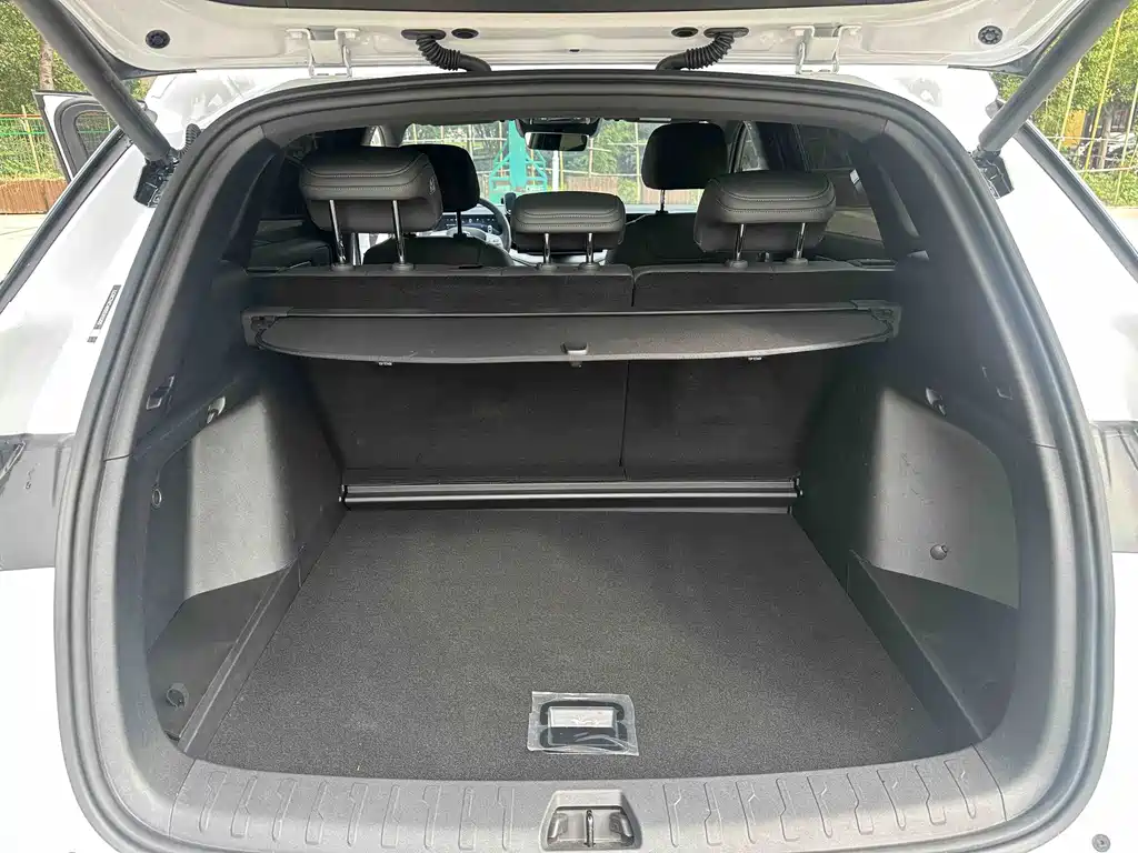 BYD L DM-i — фото 4