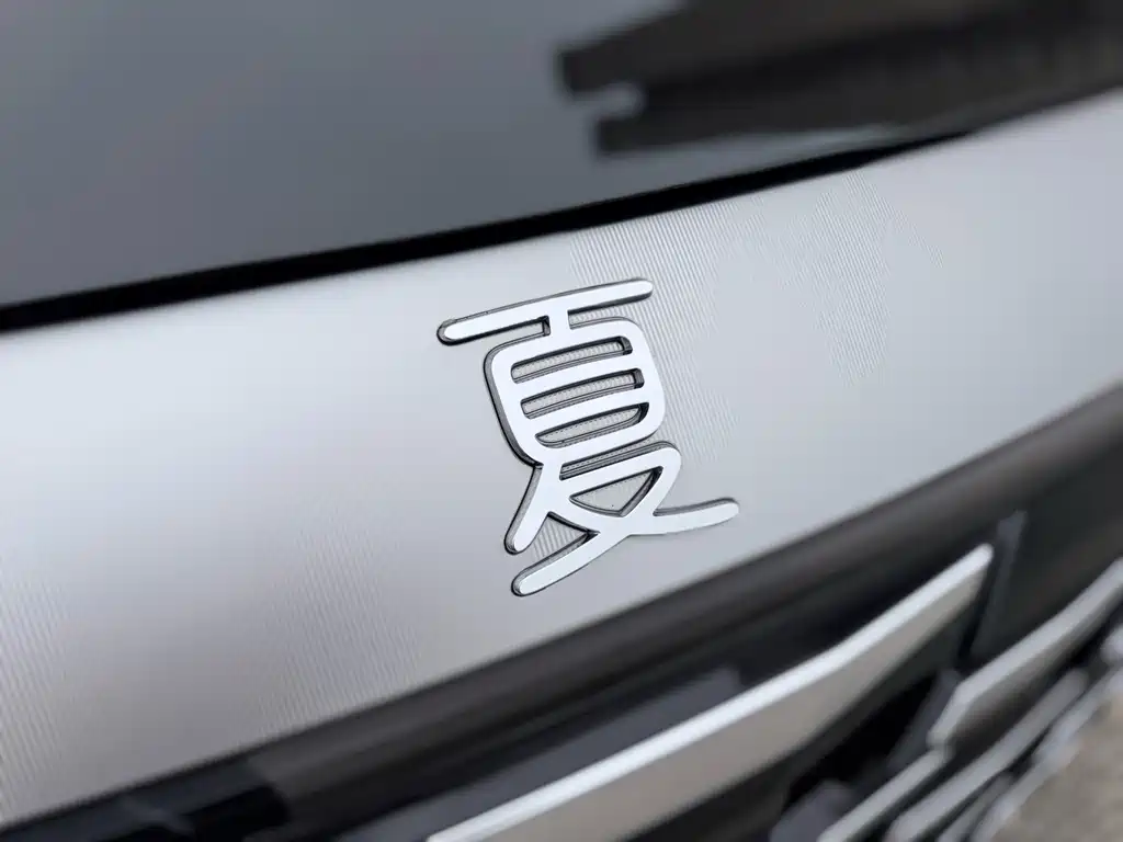 BYD Xia — фото 9