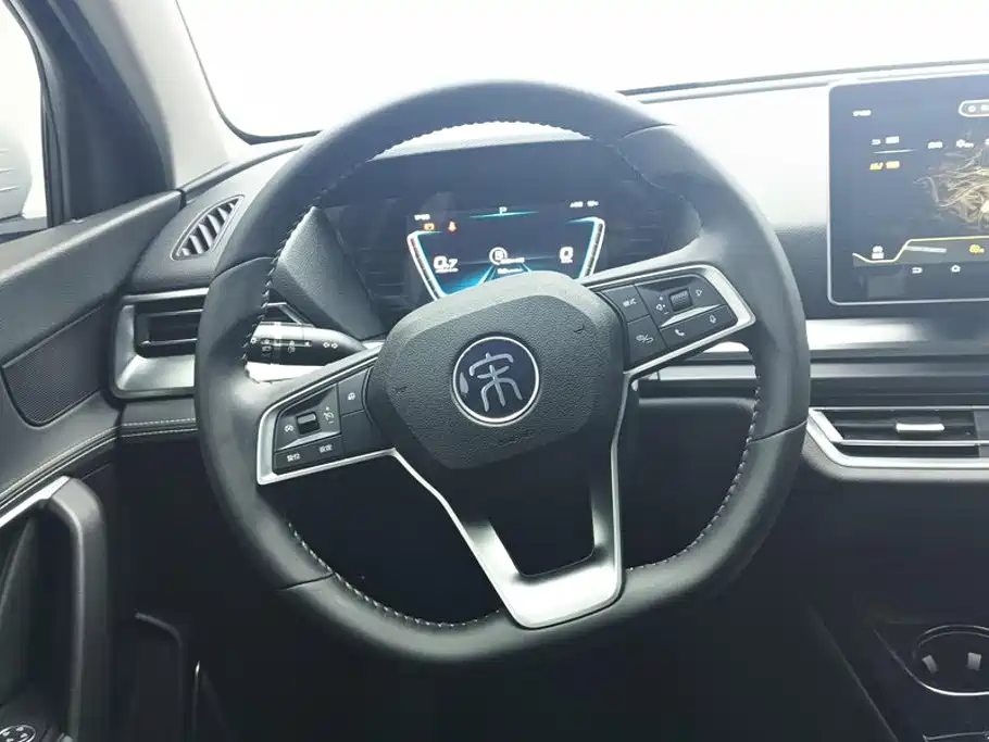 BYD Pro — фото 15