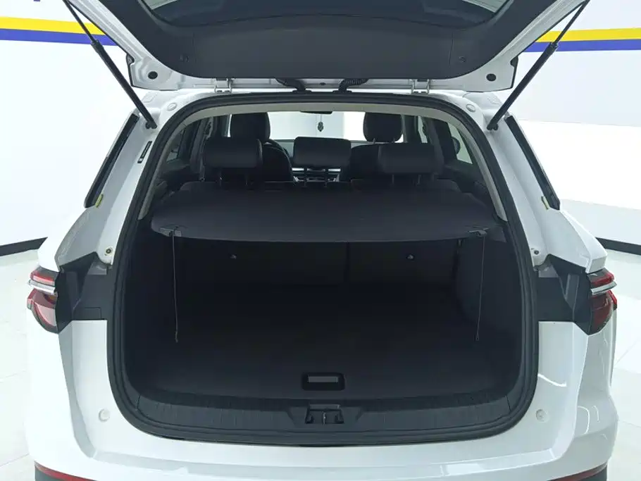 BYD Pro — фото 4