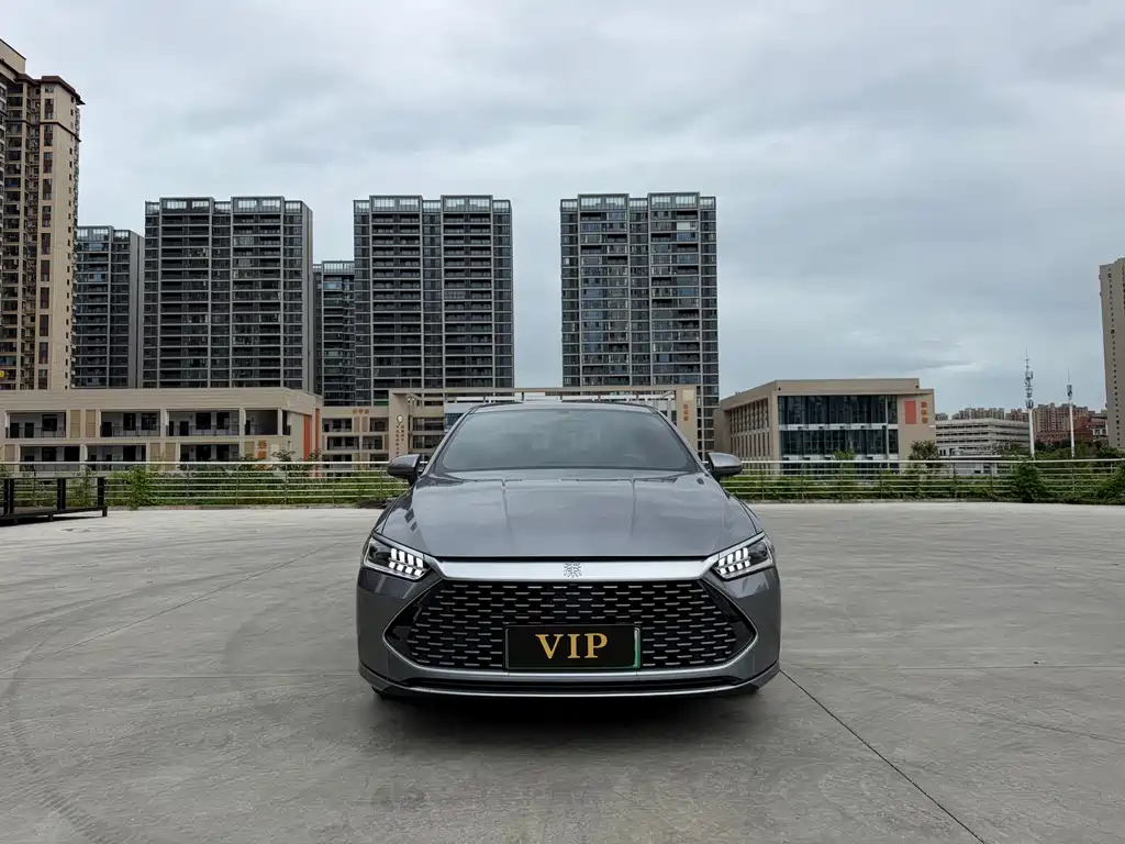 BYD Qin PLUS — фото 2