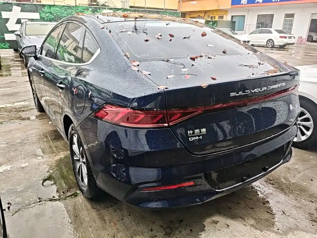 BYD Qin PLUS — фото 5