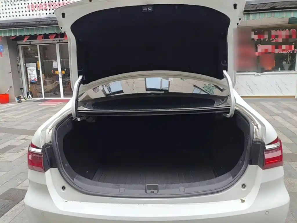 BYD Qin NEV — фото 19