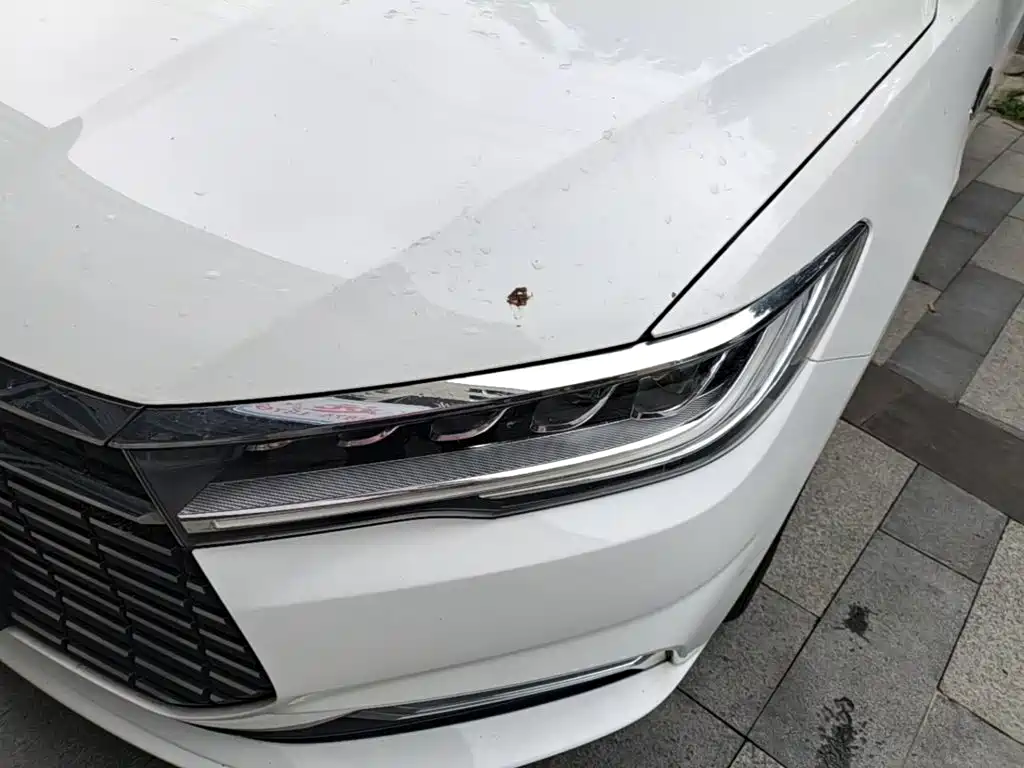 BYD Qin NEV — фото 24