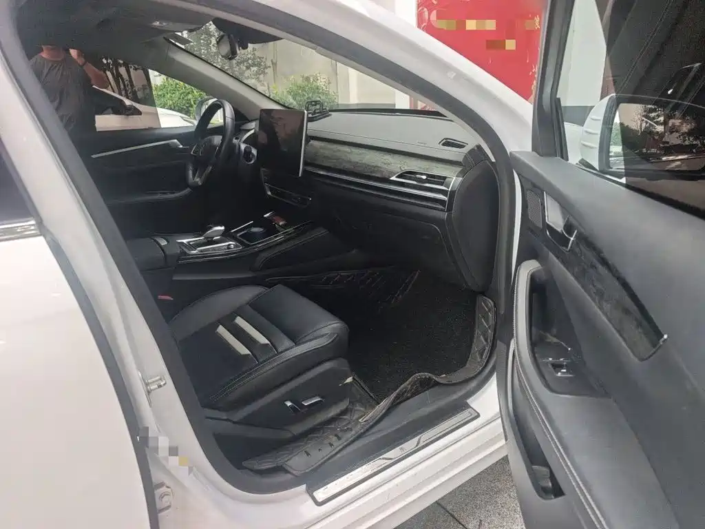 BYD Qin Pro NEV — фото 18