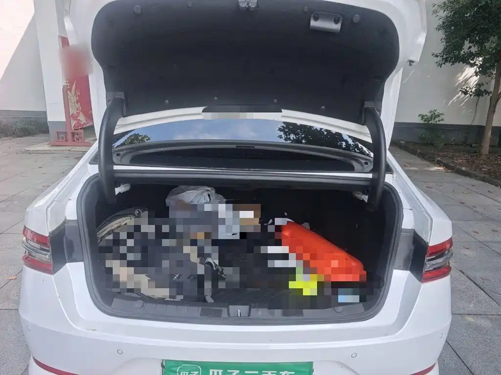 BYD Qin Pro NEV — фото 10