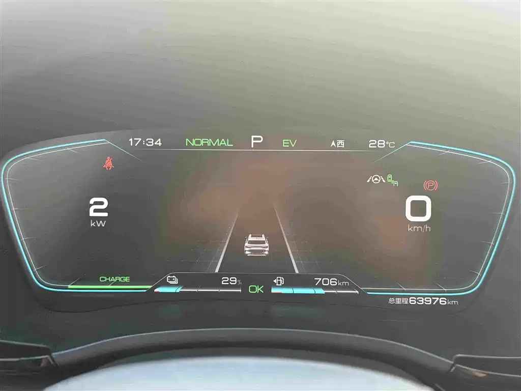 BYD PLUS New Energy — фото 11