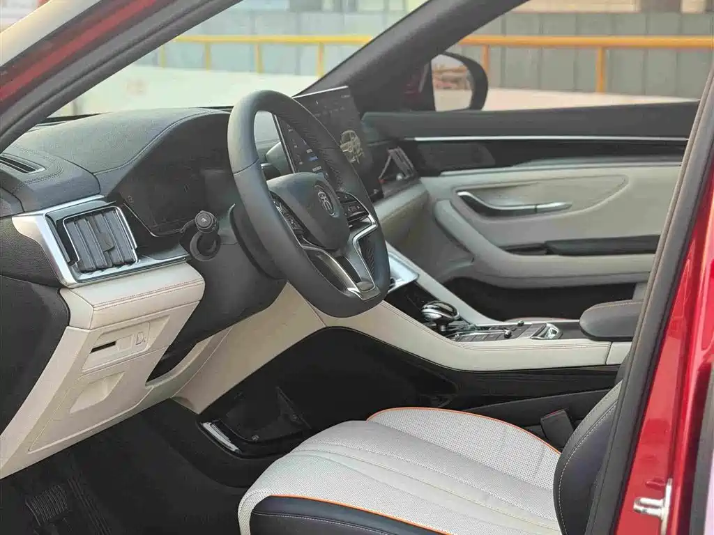 BYD PLUS New Energy — фото 13