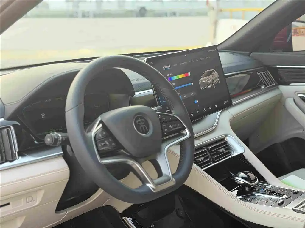 BYD PLUS New Energy — фото 14