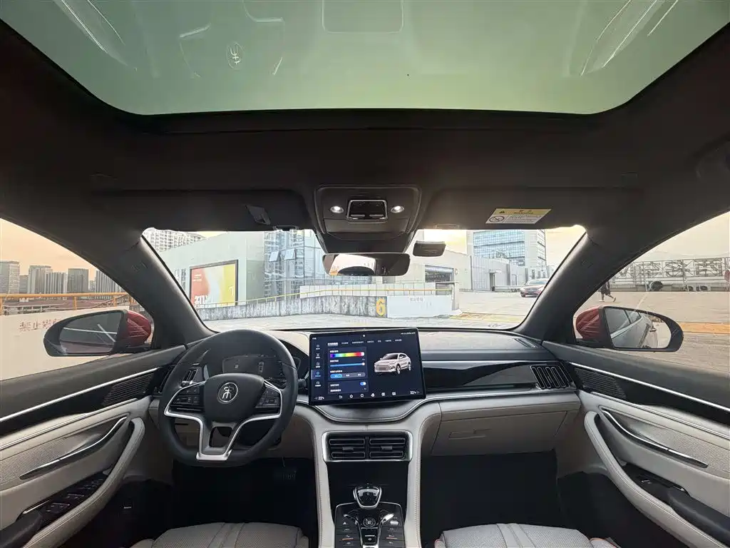 BYD PLUS New Energy — фото 17
