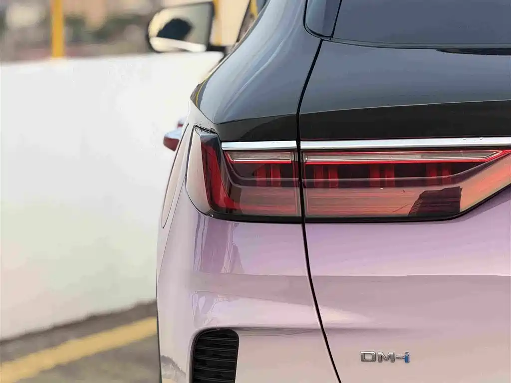 BYD PLUS New Energy — фото 10