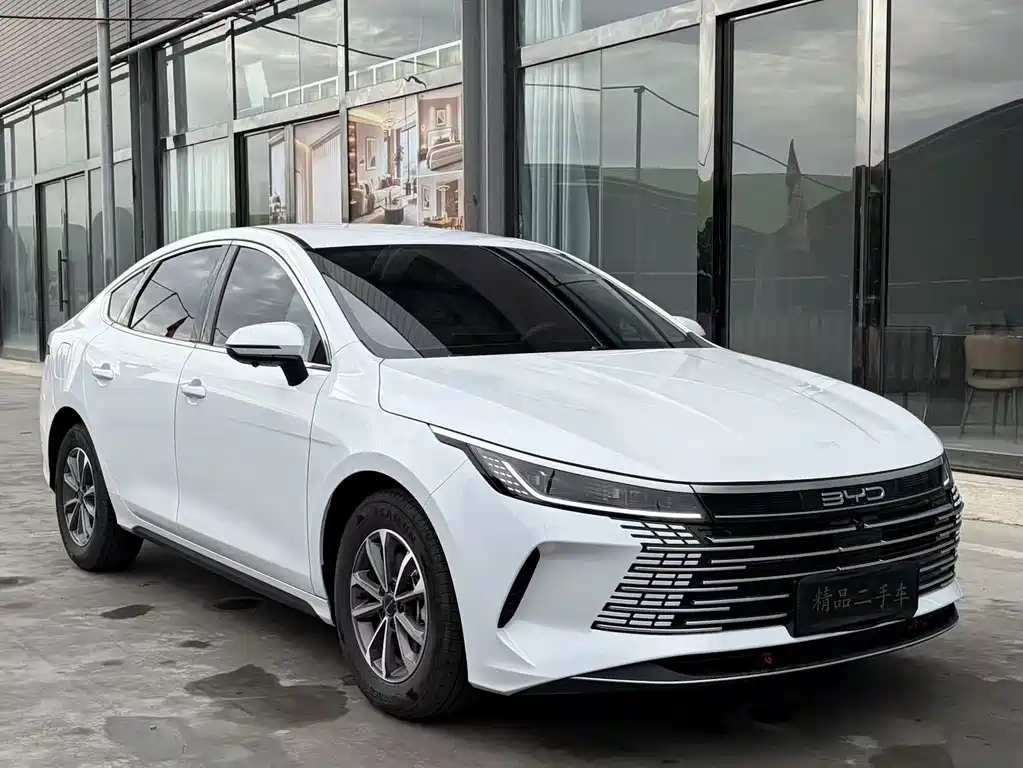 BYD Destroyer 05 — фото 3