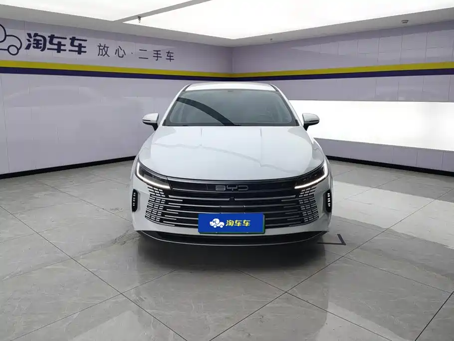 BYD Destroyer 05 — фото 2