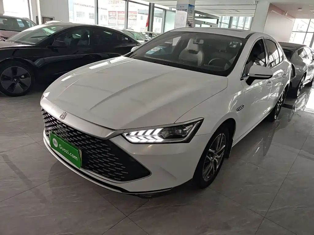 BYD Qin PLUS — фото 2