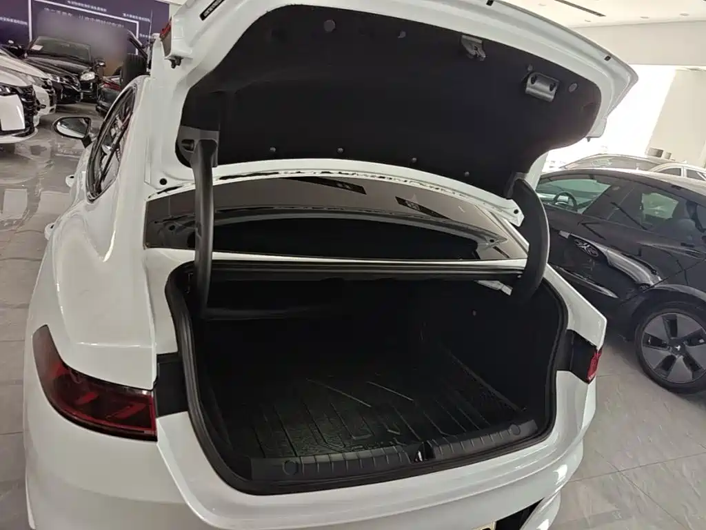 BYD Qin PLUS — фото 19