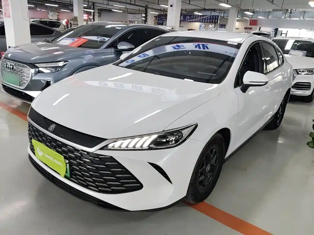 BYD Qin PLUS — фото 2