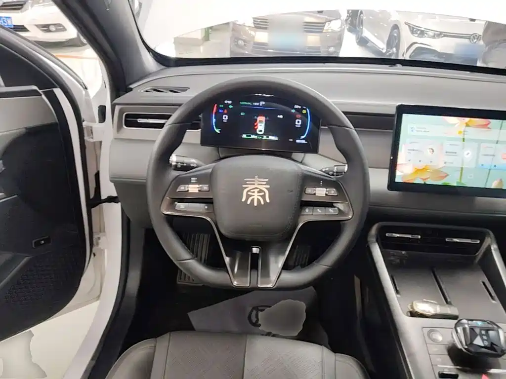 BYD Qin PLUS — фото 11