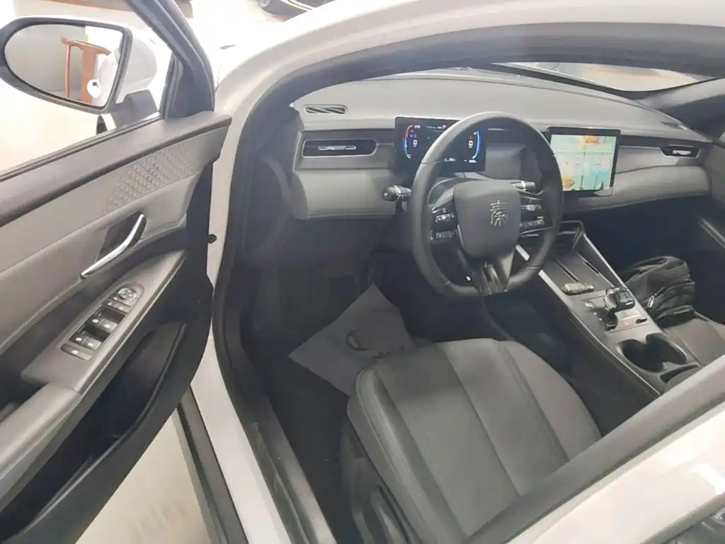 BYD Qin PLUS — фото 16