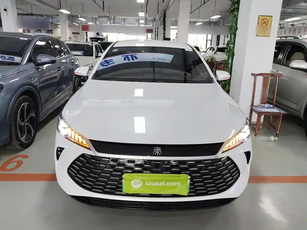 BYD Qin PLUS — фото 3