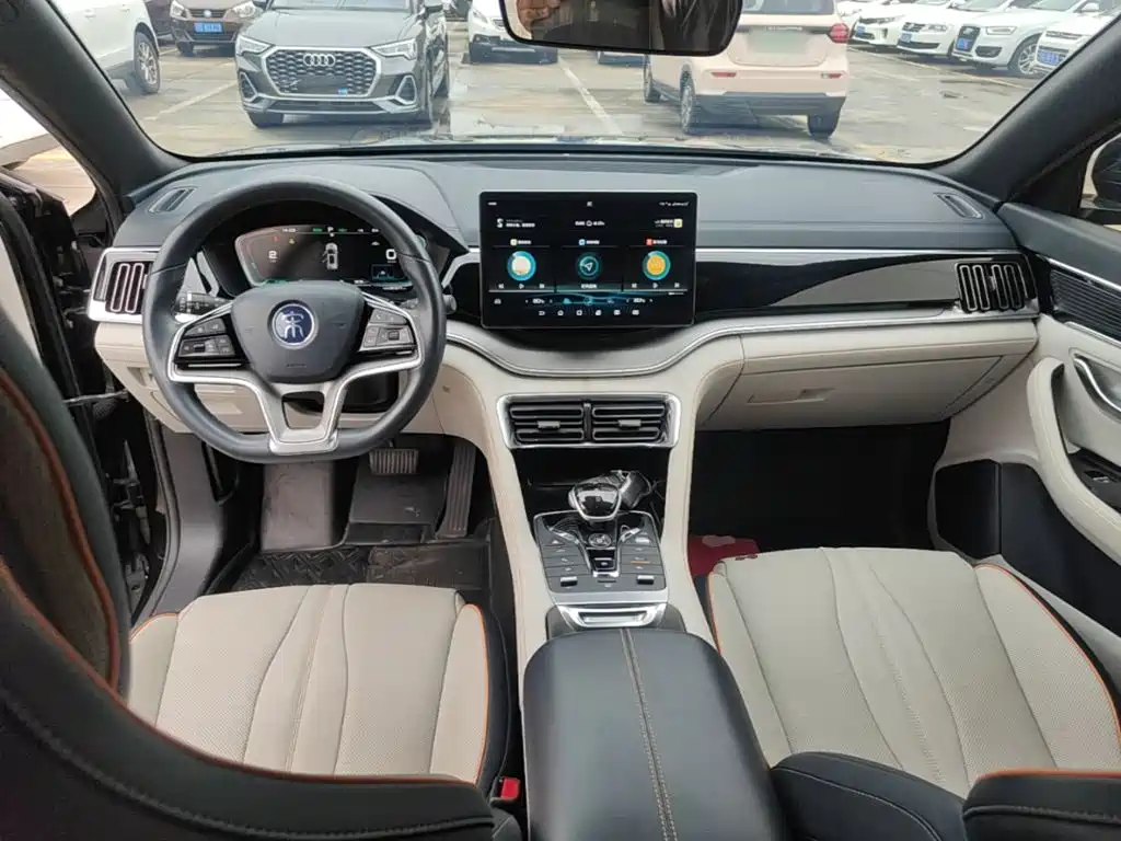BYD PLUS New Energy — фото 10