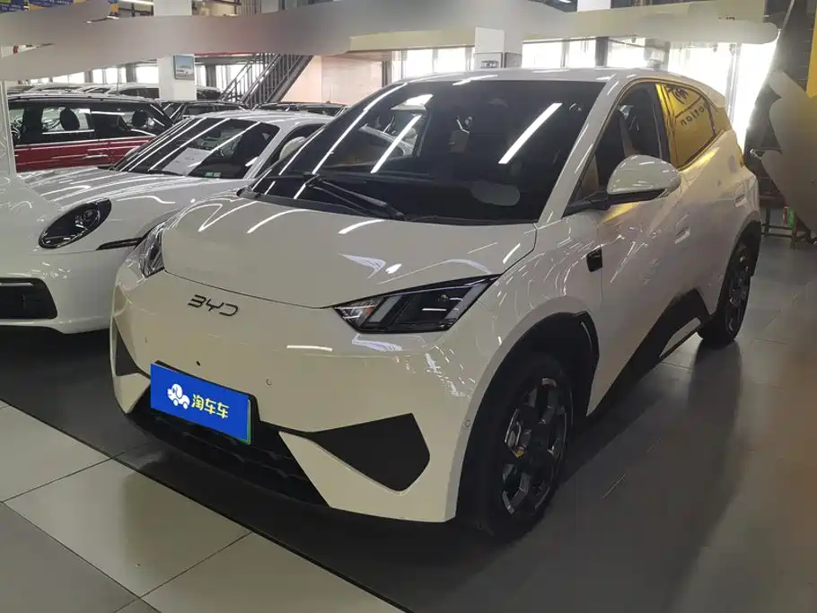 BYD Seagull