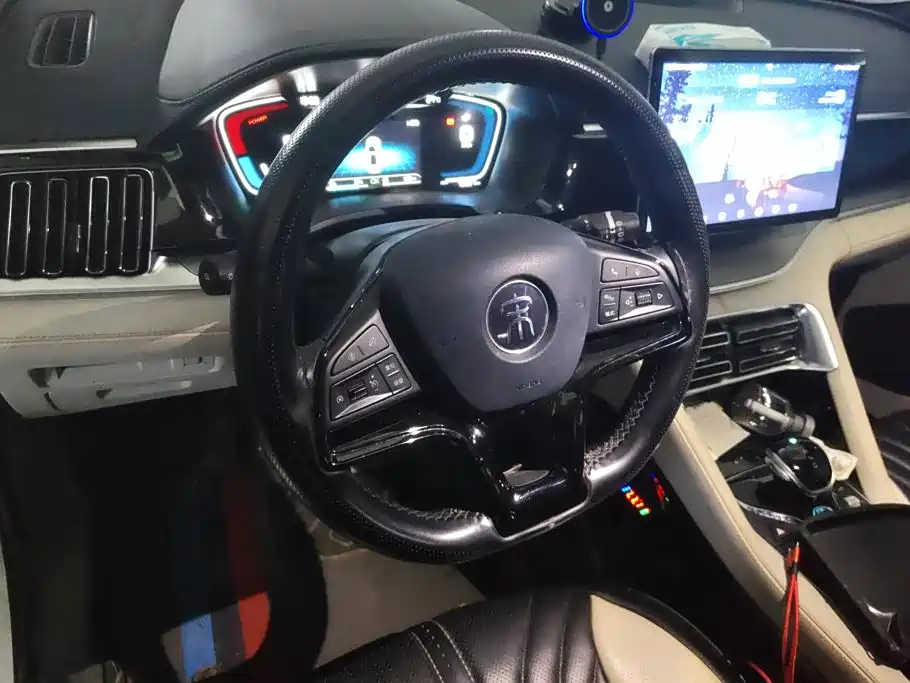 BYD PLUS New Energy — фото 15